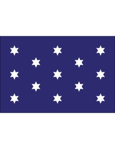 Washington's Commander-in-Chief 3' x 5' Outdoor Nylon Flag