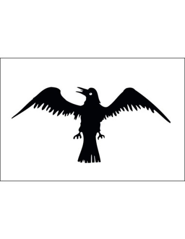 Raven 3' x 5' Outdoor Nylon Flag