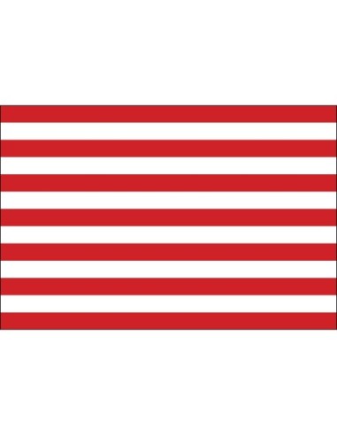Sons of Liberty 3' x 5' Outdoor Nylon Flag