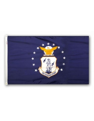 Perma-Nyl 3'x5' Nylon Air National Guard Flag