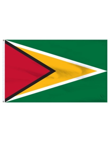 Guyana 5' x 8' Outdoor Nylon Flag