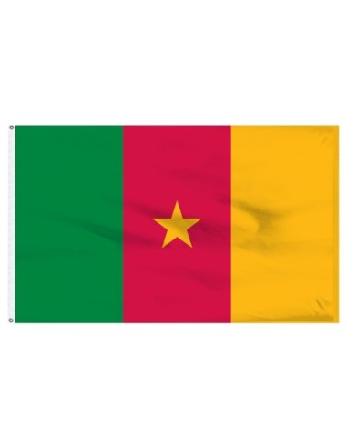 Cameroon 3' x 5' Indoor Polyester Flag