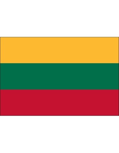 Lithuania 3' x 5' Indoor Polyester Flag
