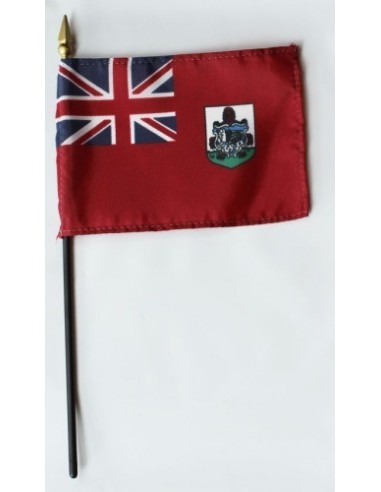 Bermuda 4" x 6" Mounted Flags