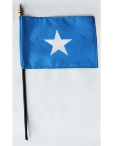 Somalia 4" x 6" Mounted Flags
