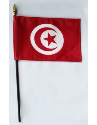 Tunisia 4" x 6" Mounted Flags