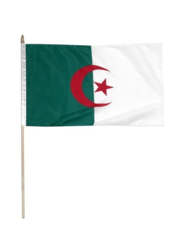 Algeria 12" x 18" Mounted Flag