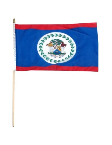 Belize 12" x 18" Mounted Flag