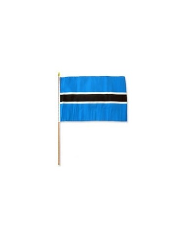 Botswana 12" x 18" Mounted Flag