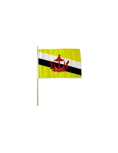 Brunei 12" x 18" Mounted Flag