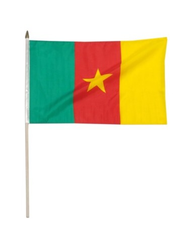 Cameroon 12" x 18" Mounted Flag