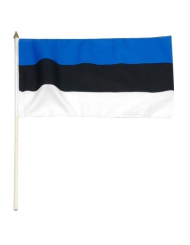 Estonia 12" x 18" Mounted Flag