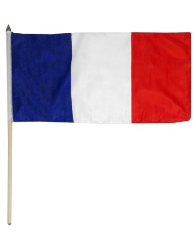 France 12" x 18" Mounted Flag
