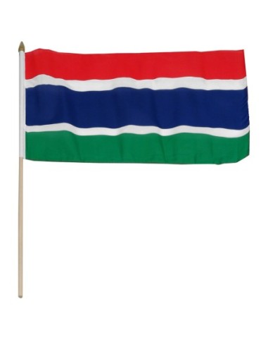 Gambia 12" x 18" Mounted Flag