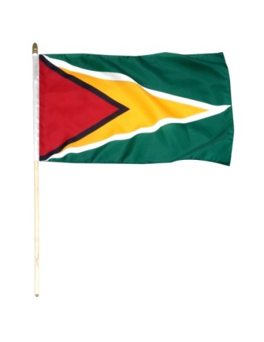 Guyana 12" x 18" Mounted Flag
