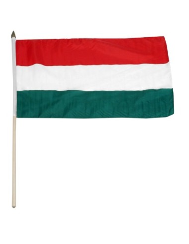 Hungary 12" x 18" Mounted Flag