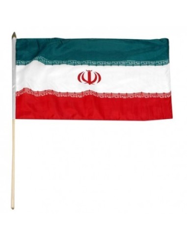 Iran 12" x 18" Mounted Flag