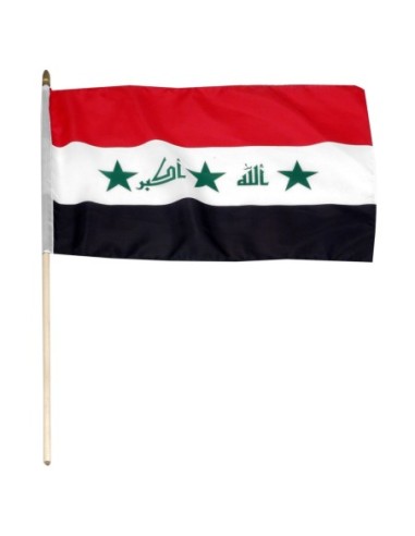 Iraq 12" x 18" Mounted Flag