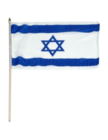 Israel 12" x 18" Mounted Flag