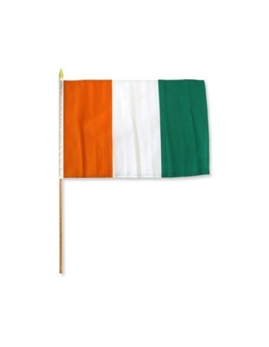 Ivory Coast (Cote D'Ivoire) 12" x 18" Mounted Flag