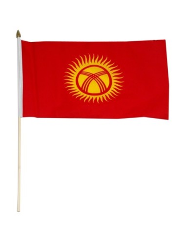 Kyrgyzstan 12" x 18" Mounted Flag