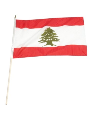 Lebanon 12" x 18" Mounted Flag