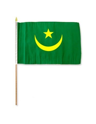 Mauritania 12" x 18" Mounted Flag