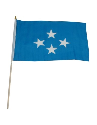 Micronesia 12" x 18" Mounted Flag