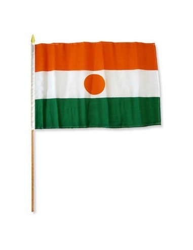 Niger  12" x 18" Mounted Flag
