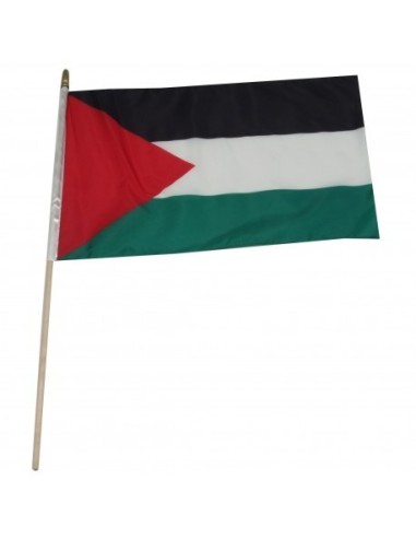 Palestinians 12" x 18" Mounted Flag