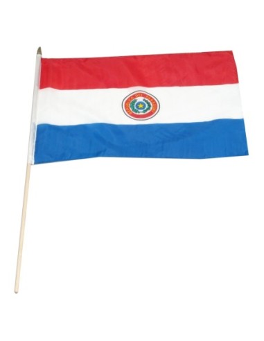 Paraguay 12" x 18" Mounted Flag
