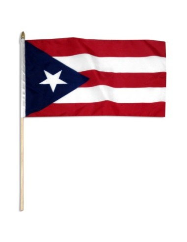 Puerto Rico 12" x 18" Mounted Flag