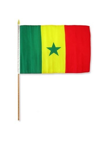 Senegal 12" x 18" Mounted Flag