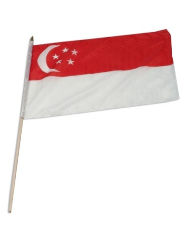Singapore 12" x 18" Mounted Flag
