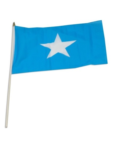 Somalia 12" x 18" Mounted Flag