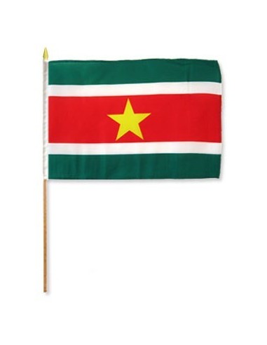 Suriname 12" x 18" Mounted Flag