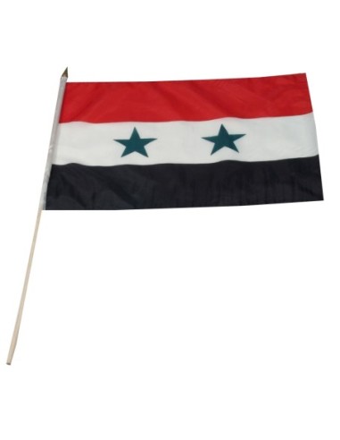 Syria 12" x 18" Mounted Flag