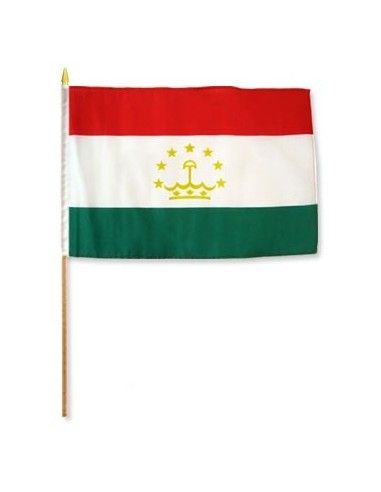 Tajikistan 12" x 18" Mounted Flag