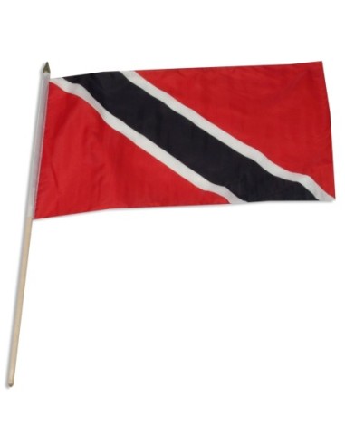Trinidad & Tobago 12" x 18" Mounted Flag