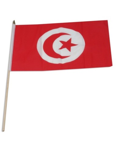 Tunisia 12" x 18" Mounted Flag