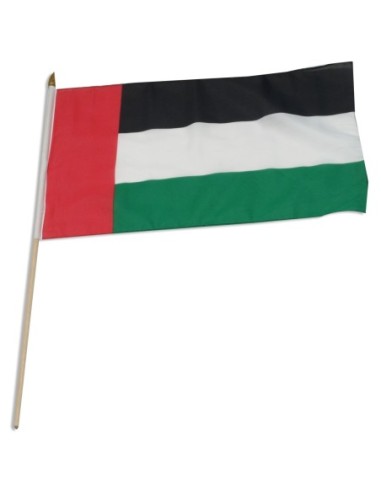 United Arab Emirates 12" x 18" Mounted Flag