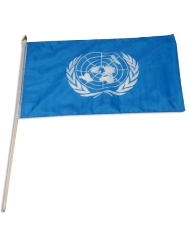 United Nations 12" x 18" Mounted Flag
