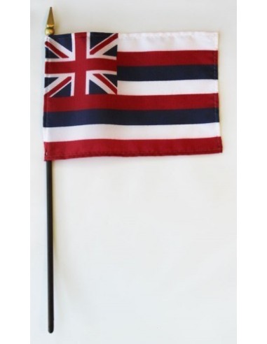 Hawaii  4" x 6" Mounted Flags
