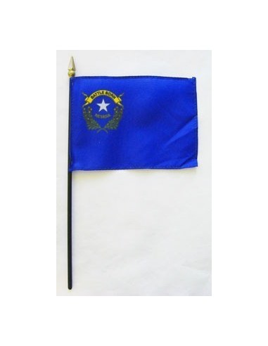 Nevada  4" x 6" Mounted Flags