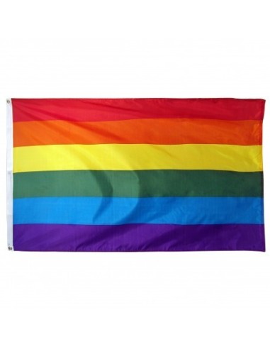 Rainbow / Pride 2' x 3' Indoor Polyester Flag
